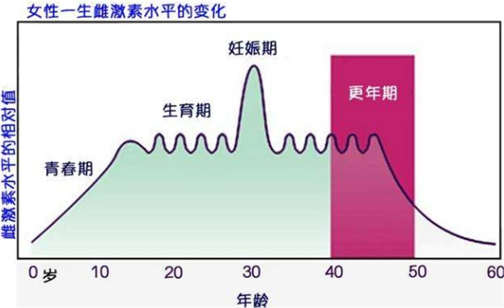 女性雌激素变化.jpg