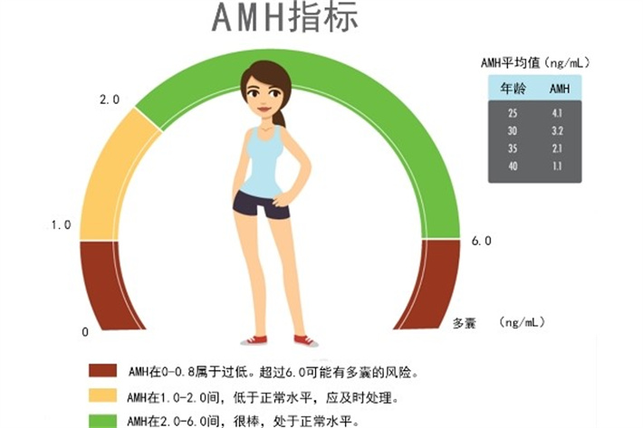 AMH指标