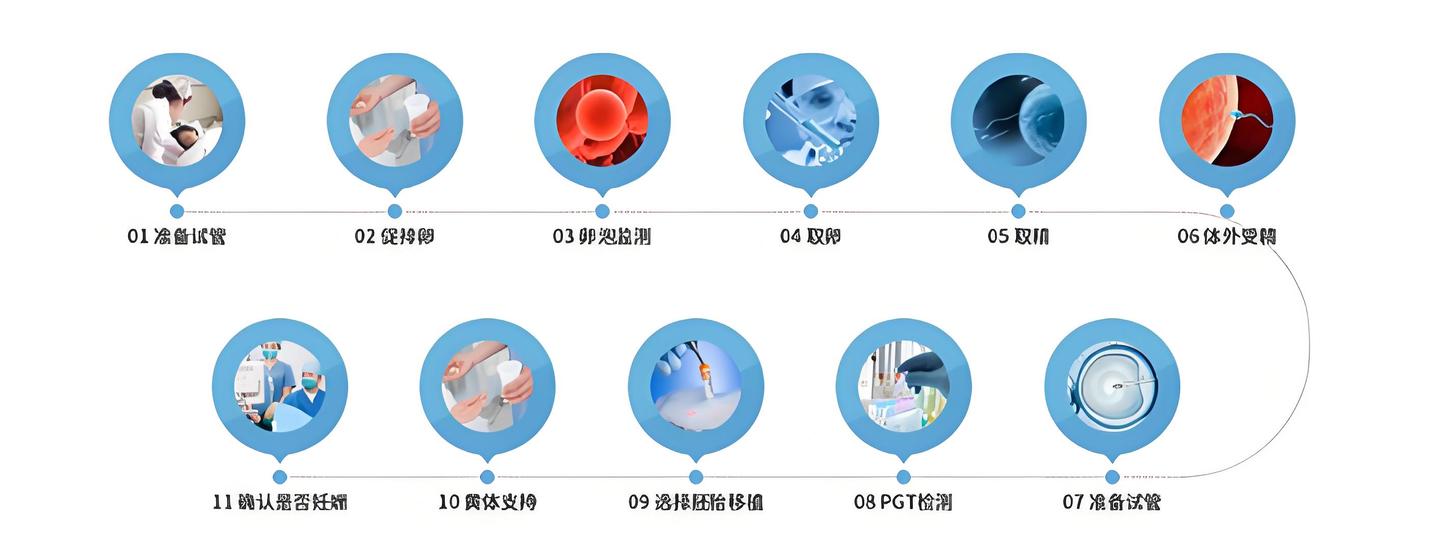 试管流程