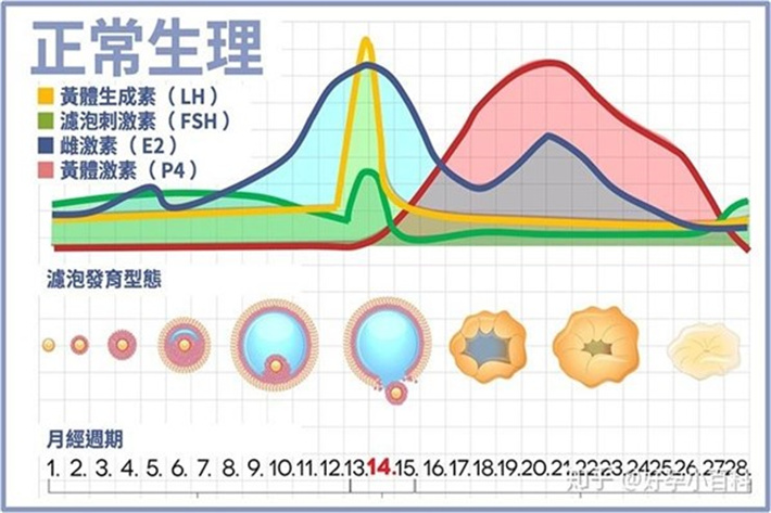 激素六项