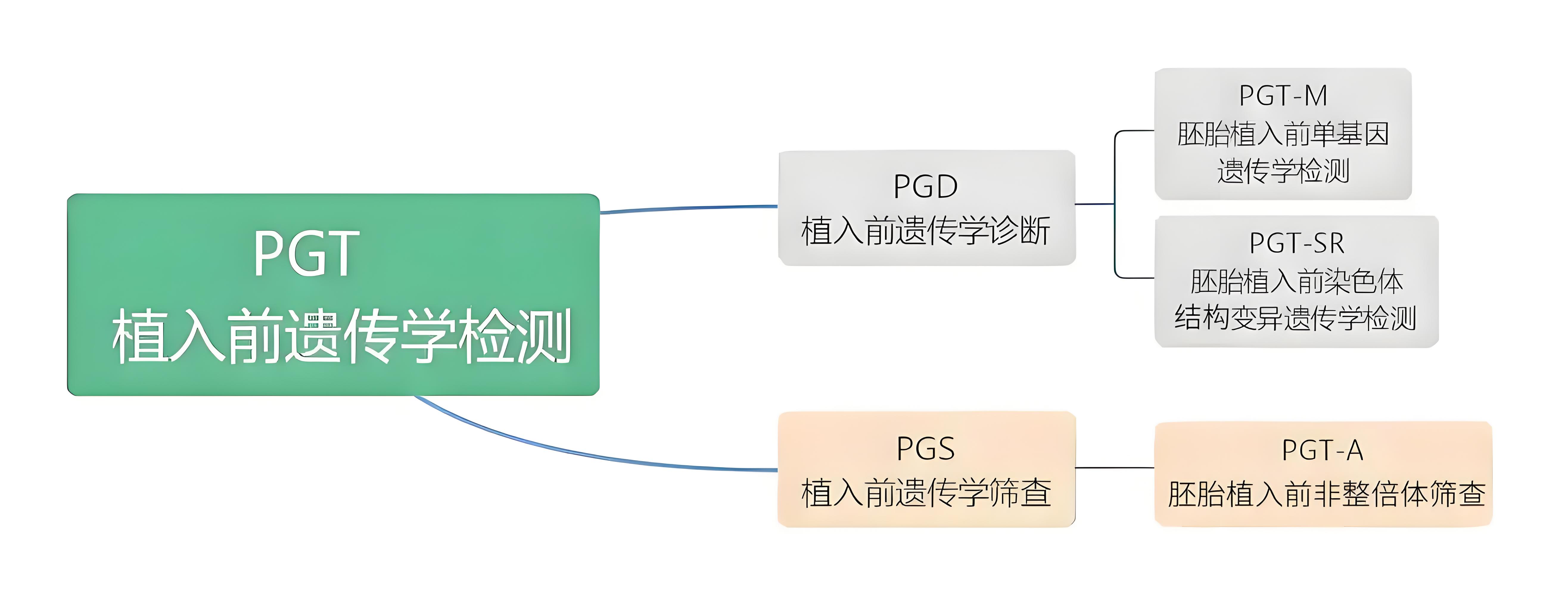 PGT技术